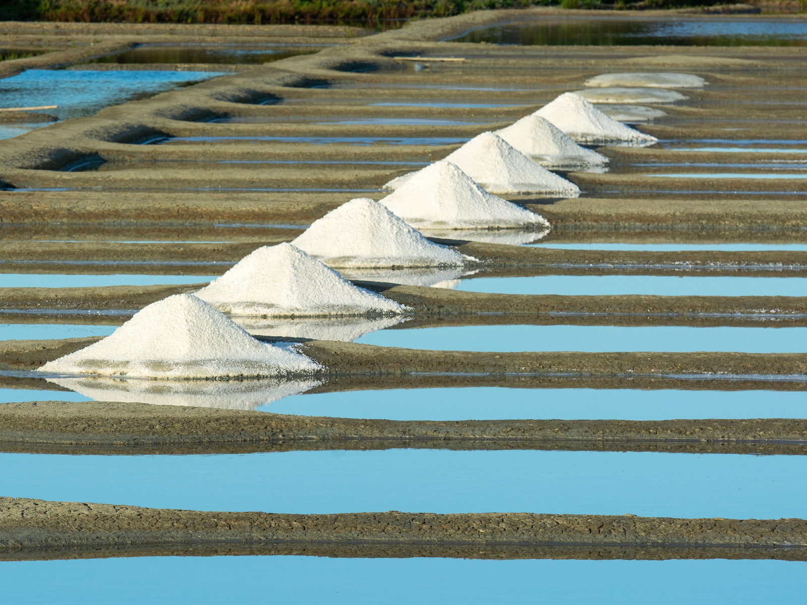 Cones of freshly harvested white salt on the bunds of coastal salt pans, the first stage of turning ocean brine into industrial salt