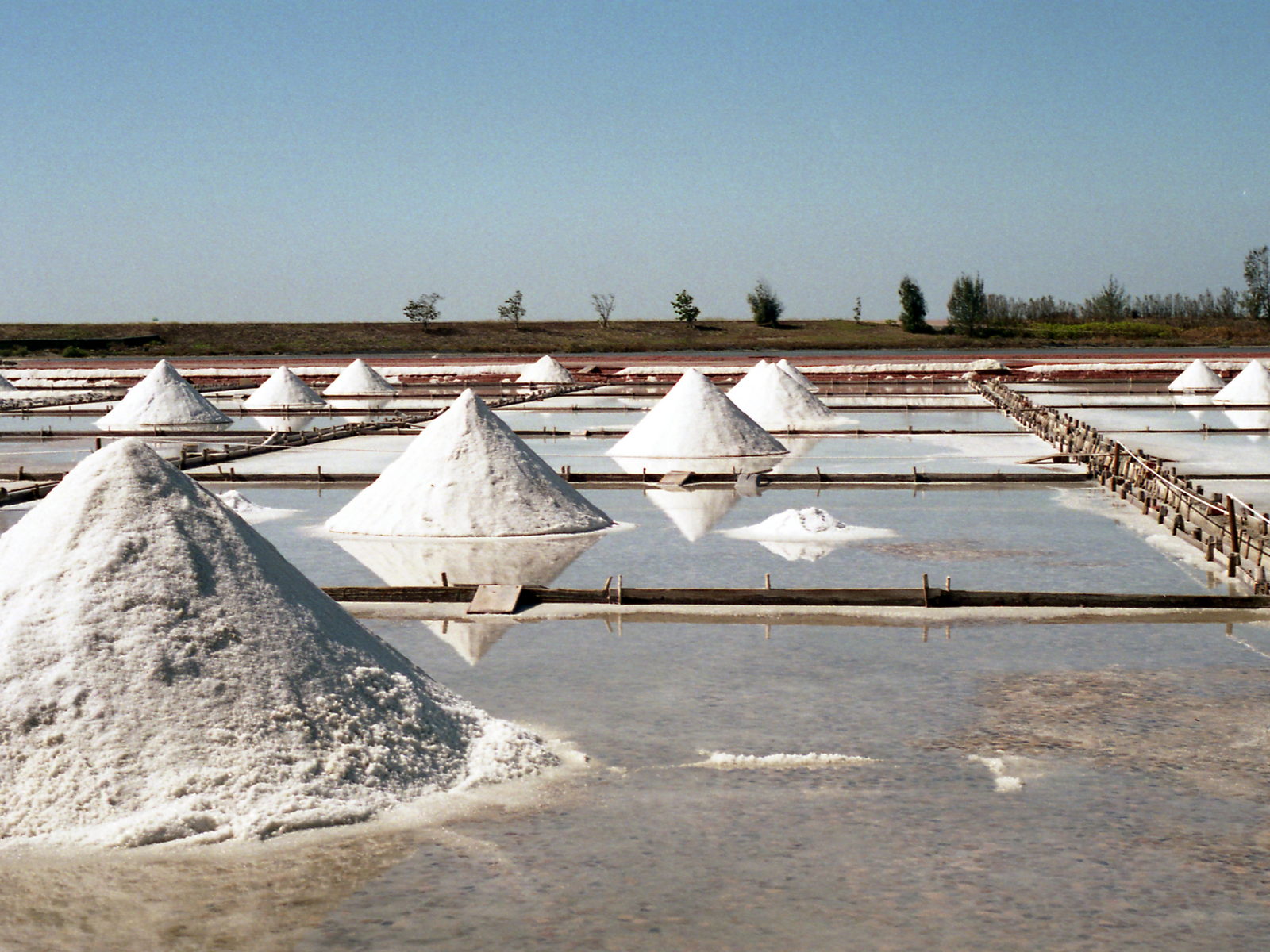 Conical mounds of harvested salt standing in shallow brine pans under a clear sky, salt recovered by solar evaporation